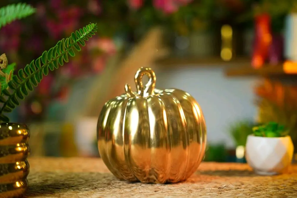 CERAMIC VASE / CS-4-31