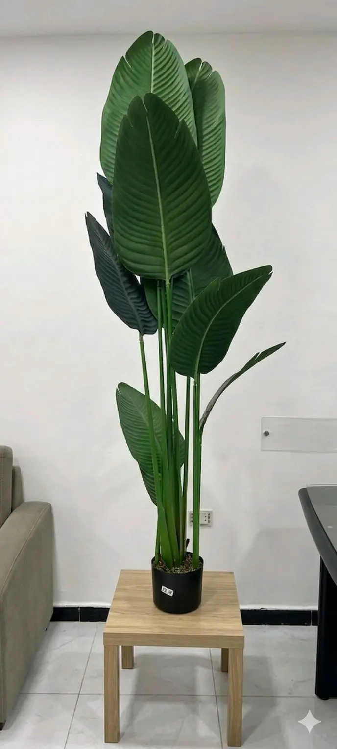 BANANA TREE180cm/CS-18-11