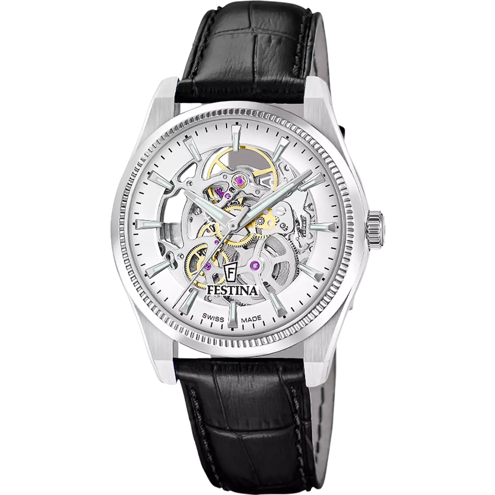 FESTINA SWISS / F20095/1