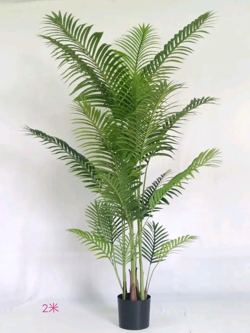 PALM TREE 2m/CS-18-16