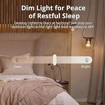 Sonoff WiFi smart Dimmer switch 3