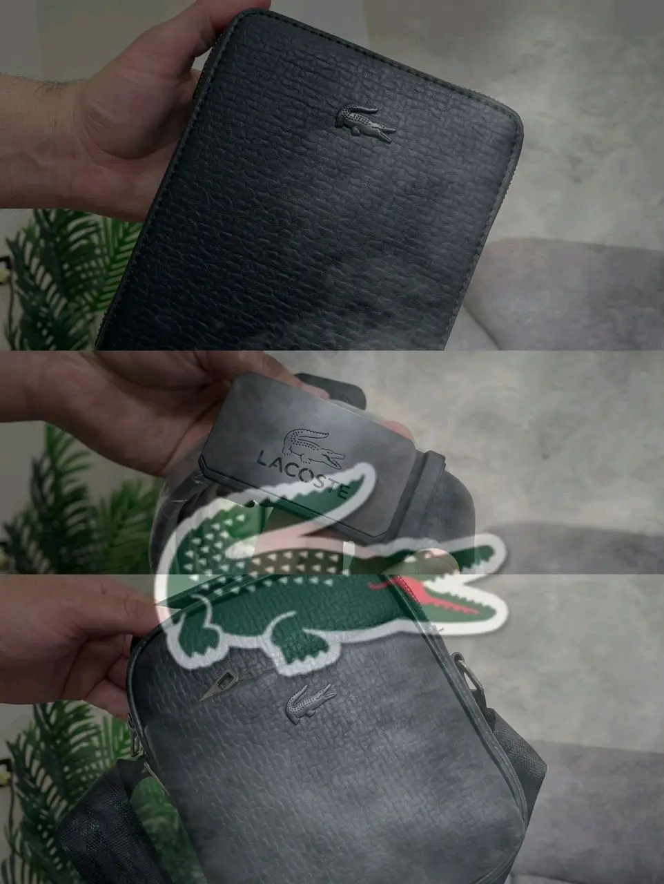 بكج  اLACOSTE