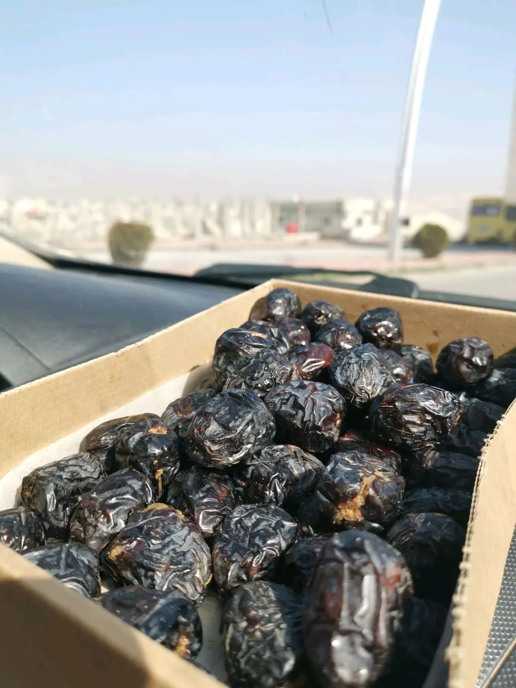 كيلو رطب عجوة المدينة
