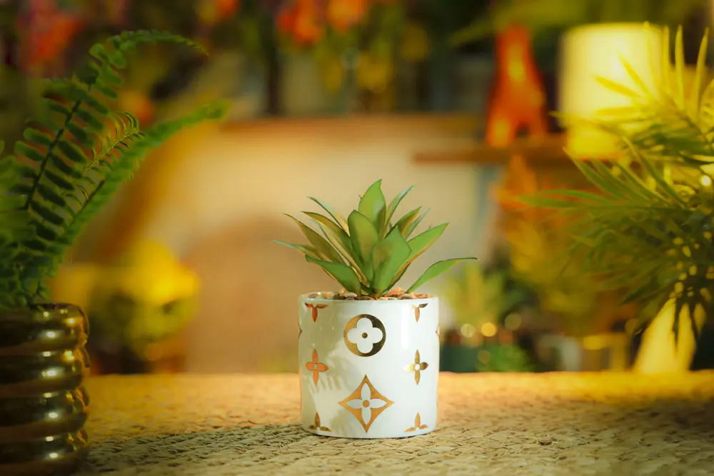 DECORATION PLANTS / CS-17-10
