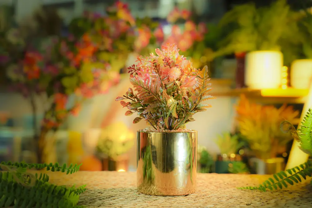 DECORATION PLANTS / CS-17-17