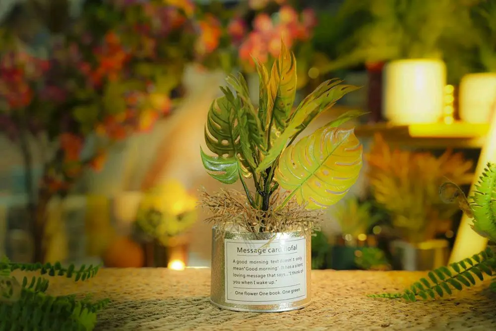 DECORATION PLANTS / CS-17-18