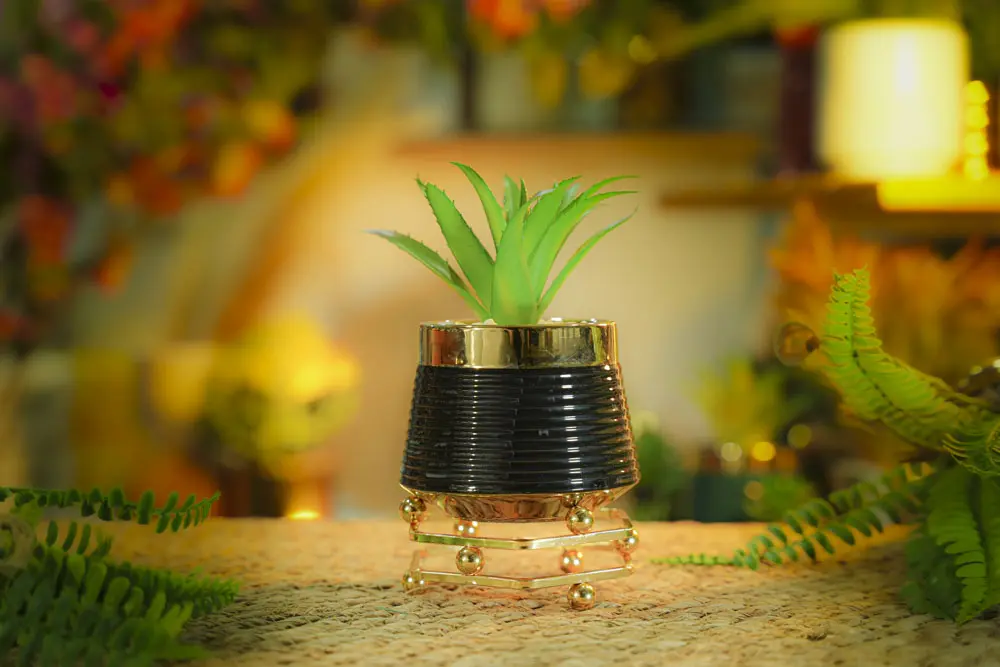 DECORATION PLANTS / CS-17-19