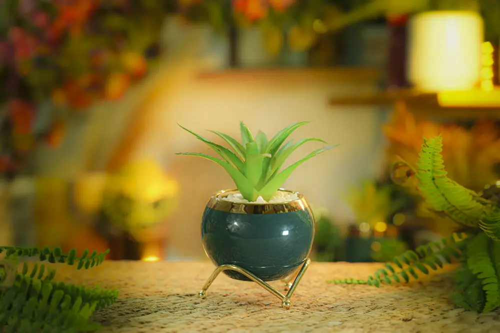 DECORATION PLANTS / CS-17-20