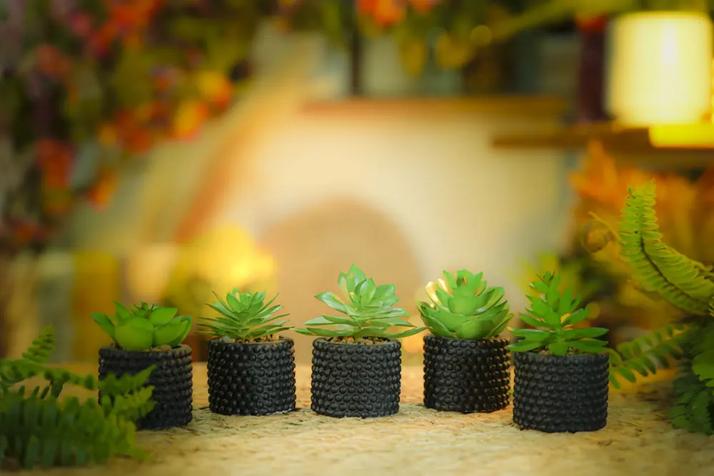 DECORATION PLANTS / CS-17-21