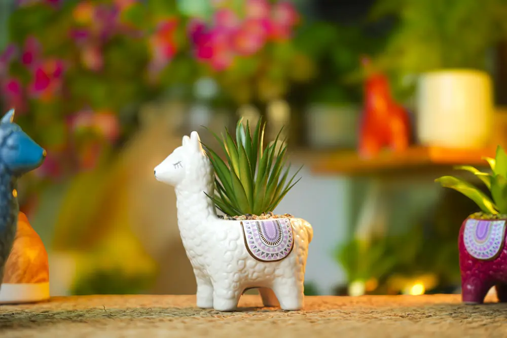 DECORATION PLANTS / CS-17-24