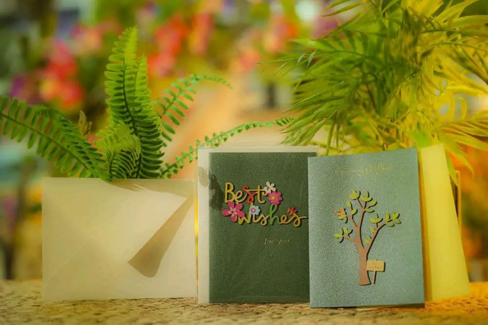 GIFT CARDS / CS-21-13