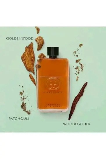 GUCCI ABSOLUTE