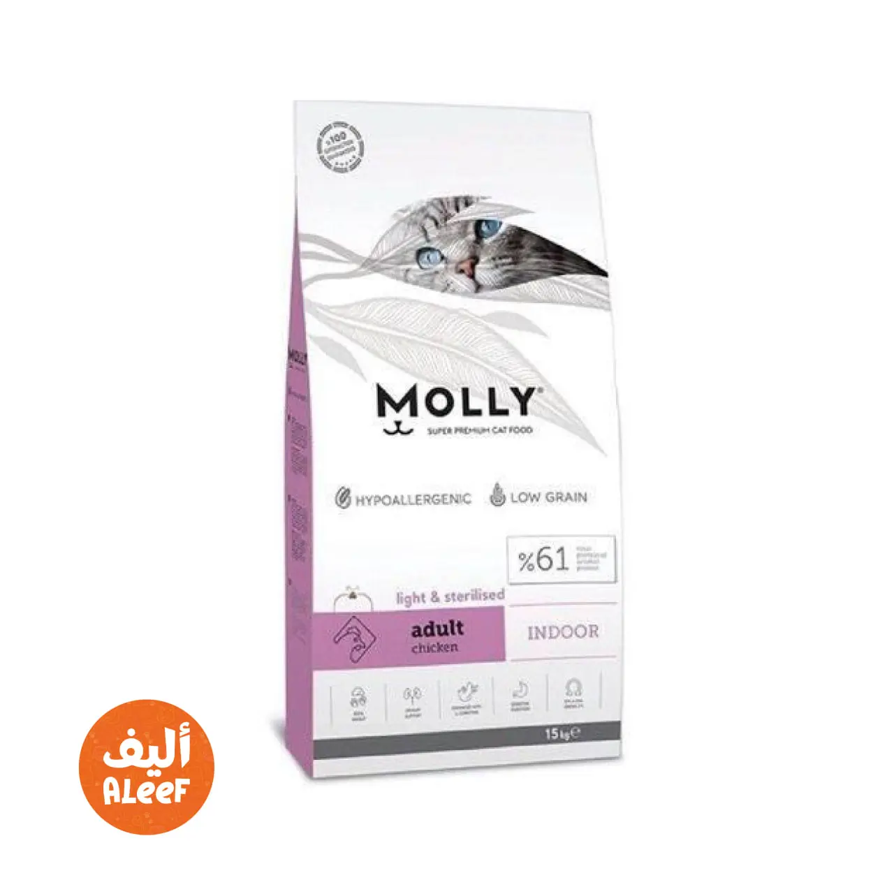 Molly Indoor (Chicken)