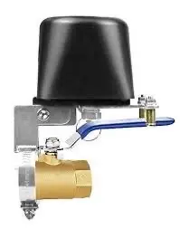 Smart Valve WV LZ EU BK MS