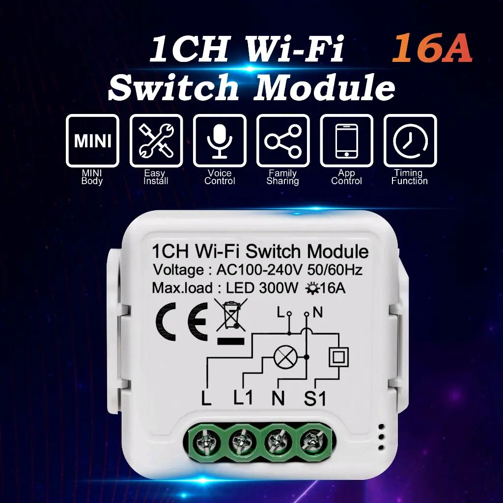 WiFi Smart Switch 16A 2
